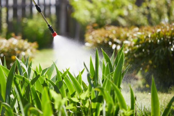 24/7 Emergency Wasp Removal experts in Parker City, IN