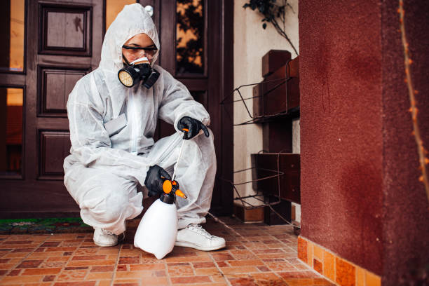 Reliable Wasp Removal contractor in Parker City, IN by Show Me Pest Control
